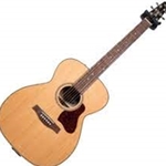 045372 Seagull Coastline Concert Hall
Momentum HG Acoustic Electric