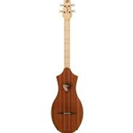 041725 Seagull M4 Dulcimer
Mahogany "G"