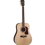 Washburn HD20SCE-O-U
DN Heritage Acoustic/Electric