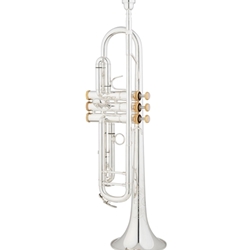 Eastman ETR520GS Intermediate Trumpet - Silver Plated with Gold Trimming
