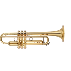 Yamaha YTR-8335LAII Professional trumpet; key of Bb; .459" bore; one-piece 5" yellow brass bell; monel alloy pistons; bronze alloy heavy caps and stopper screw; 2-piece valve casings; TRC-801E case; TR14B4 mouthpiece