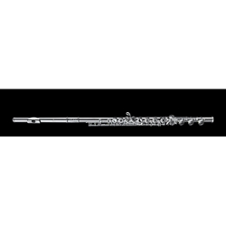 Di Zhao DZ-600 Professional Solid Sterling Silver Flute